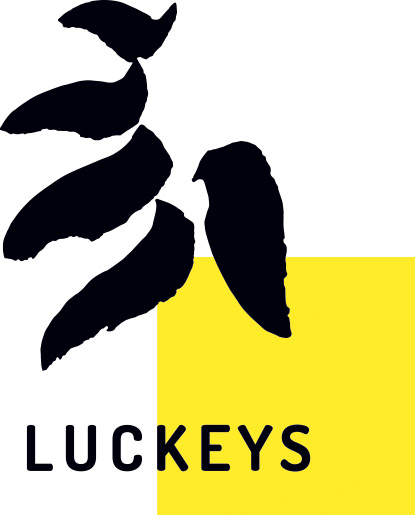 Luckeys - Feng Shui, BaZi, Yi Jing, l'excellence au service de votre développement